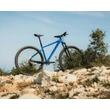 Kép 9/10 - Pells Razzer 1 férfi 29-es MTB kerékpár, 12s, alu, L-es vázméret, kék