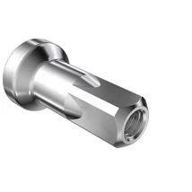 DT Swiss rejtett küllőanya, réz-nickel, 12 x 2,0 mm, ezüst