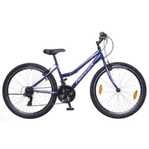 Neuzer Nelson 30 női hobbi MTB kerékpár, acél, 21s, 19-es vázméret, kék-lila